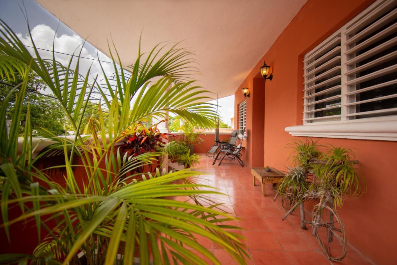 Budgies Cozumel Zewnętrze zdjęcie