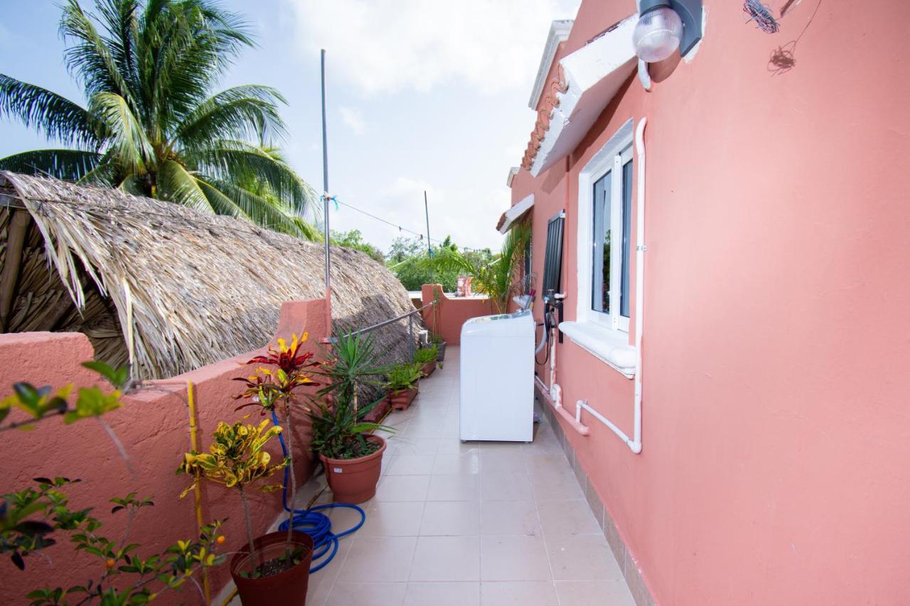Budgies Cozumel Zewnętrze zdjęcie